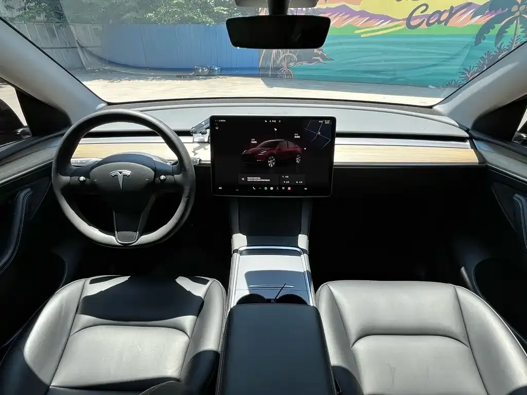 Tesla Model Y — фото 8