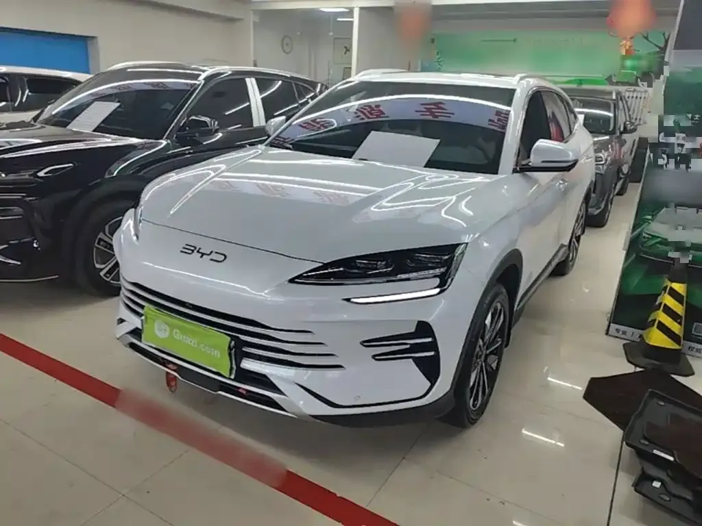 BYD PLUS New Energy — фото 5