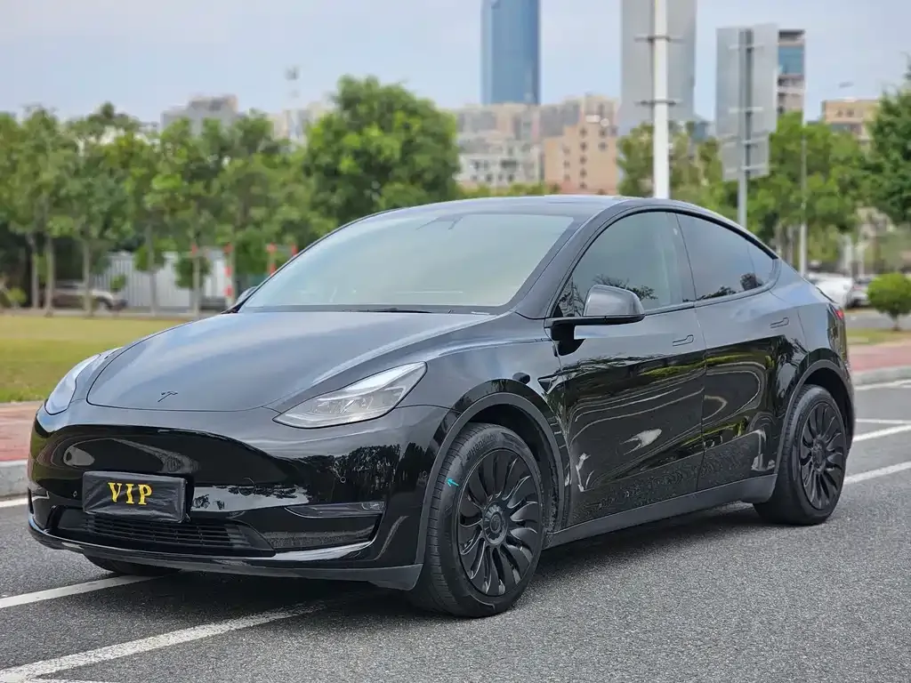 Tesla Model Y — фото 1