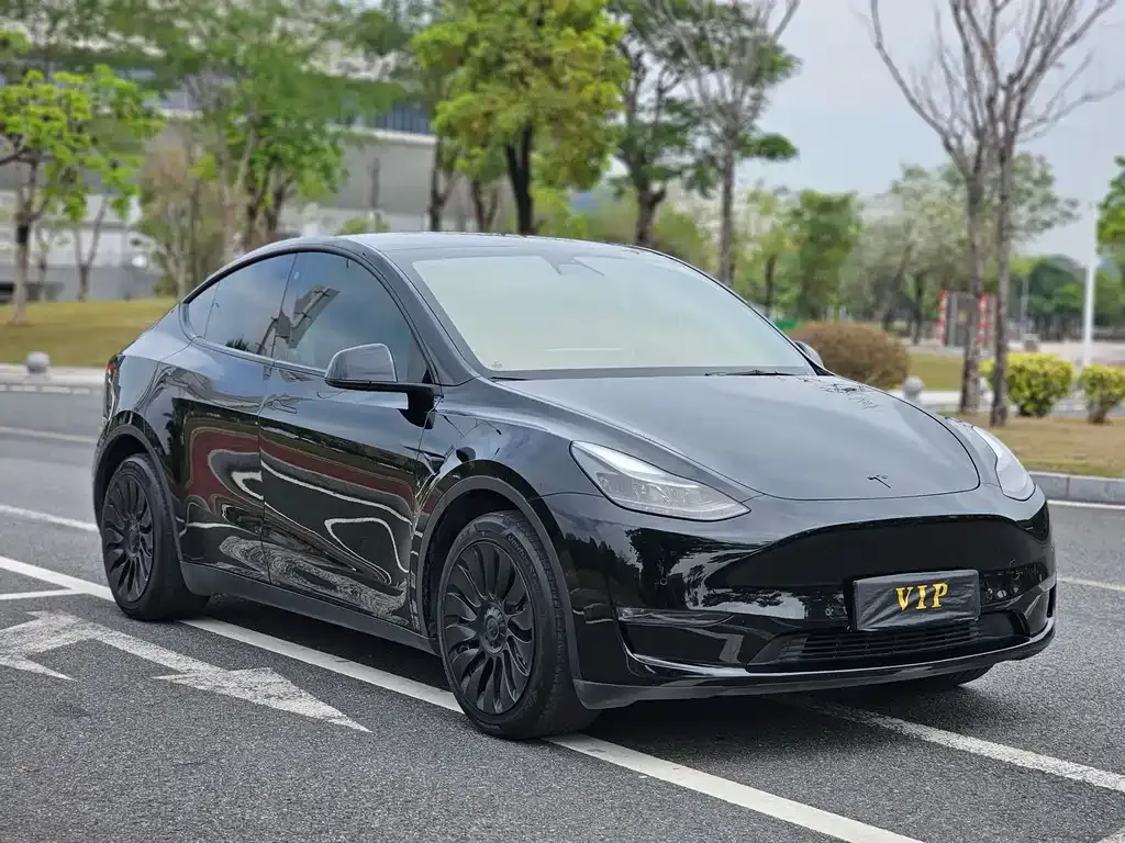 Tesla Model Y — фото 2
