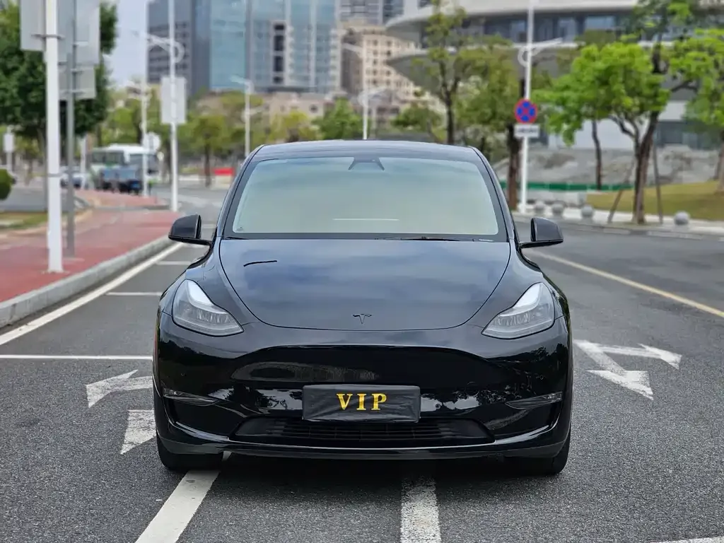 Tesla Model Y — фото 5