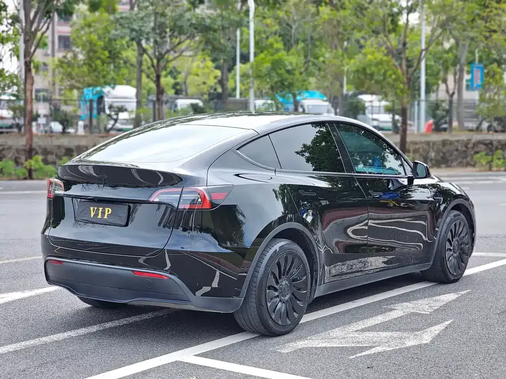 Tesla Model Y — фото 10