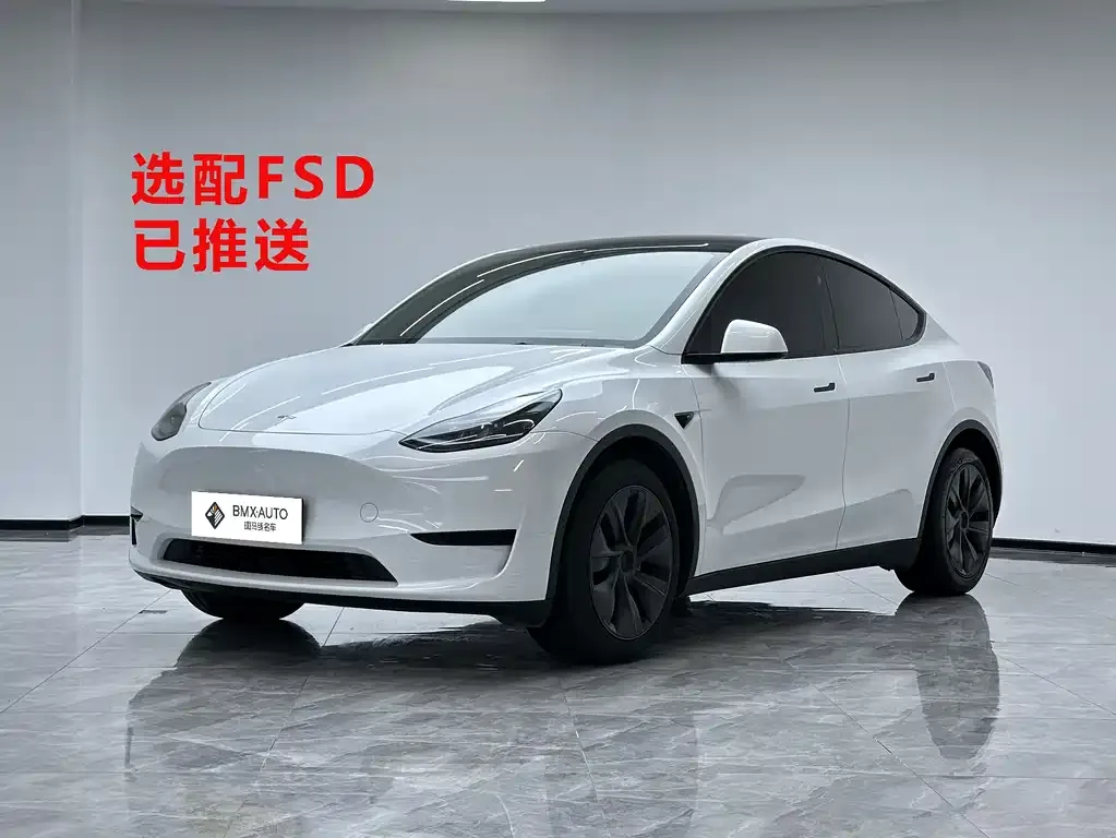 Tesla Model Y — фото 1
