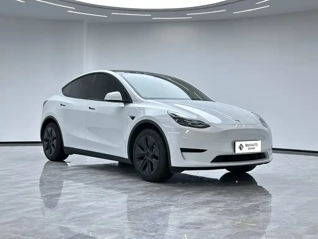Tesla Model Y — фото 7