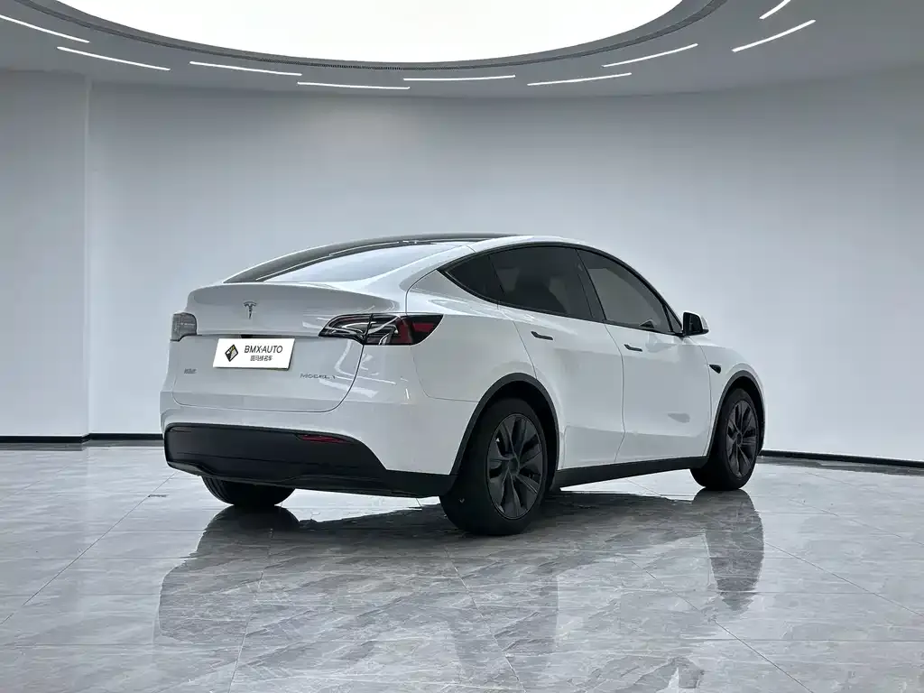 Tesla Model Y — фото 6