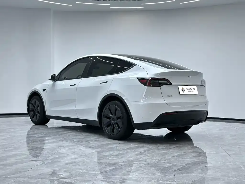 Tesla Model Y — фото 8