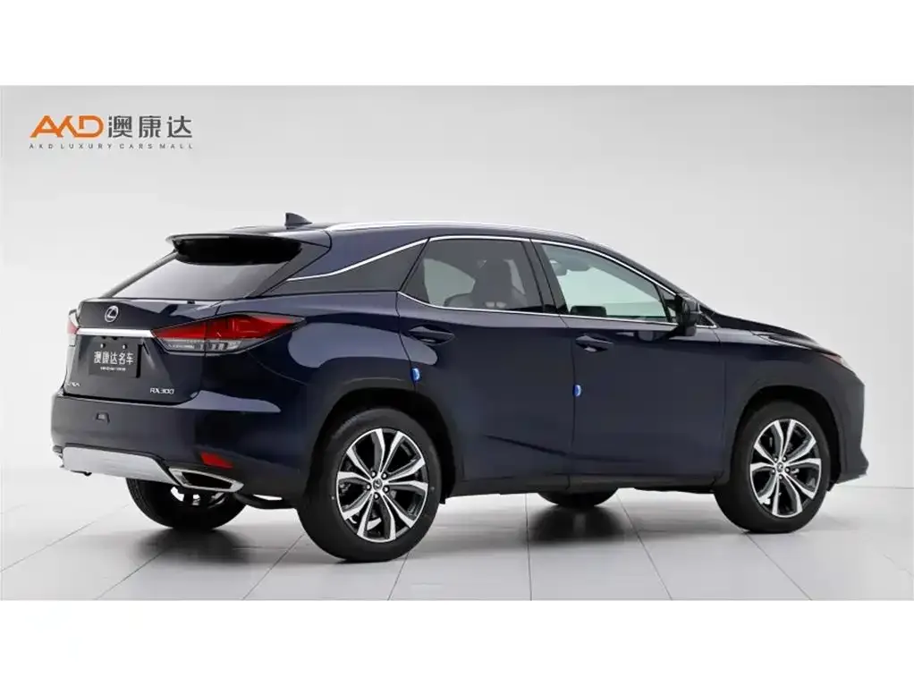 Lexus RX — фото 8