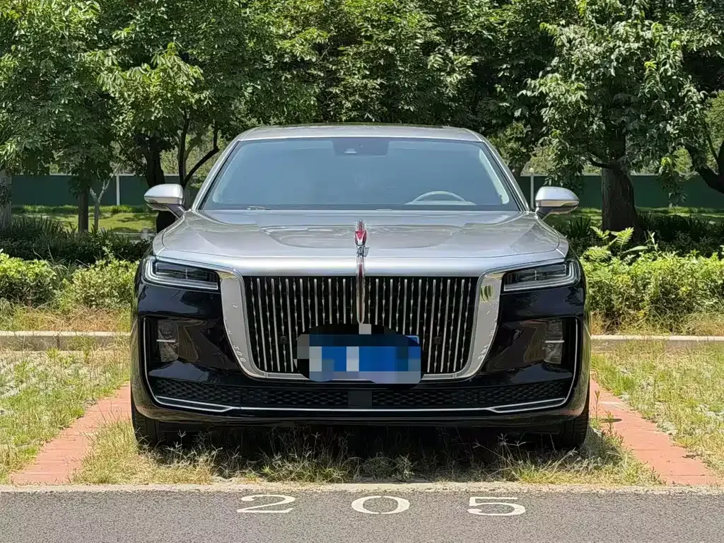 Hongqi H9 2021 из CN, фото 5