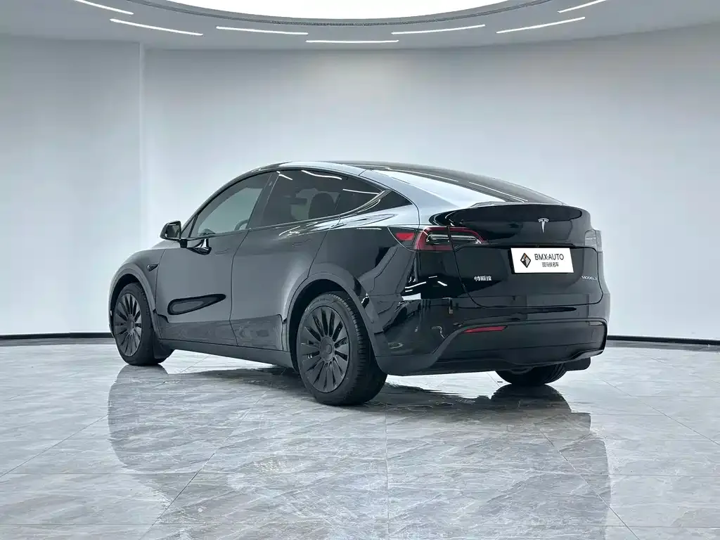 Tesla Model Y — фото 10