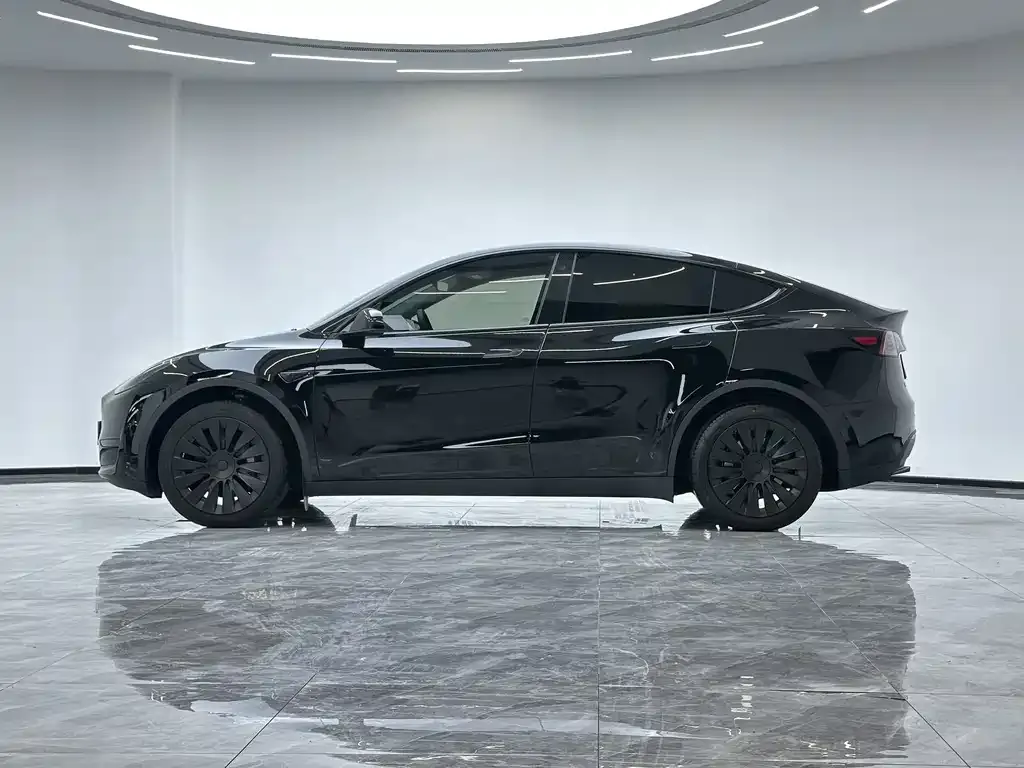 Tesla Model Y — фото 5