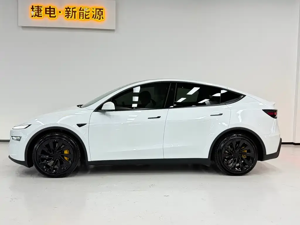 Tesla Model Y — фото 2