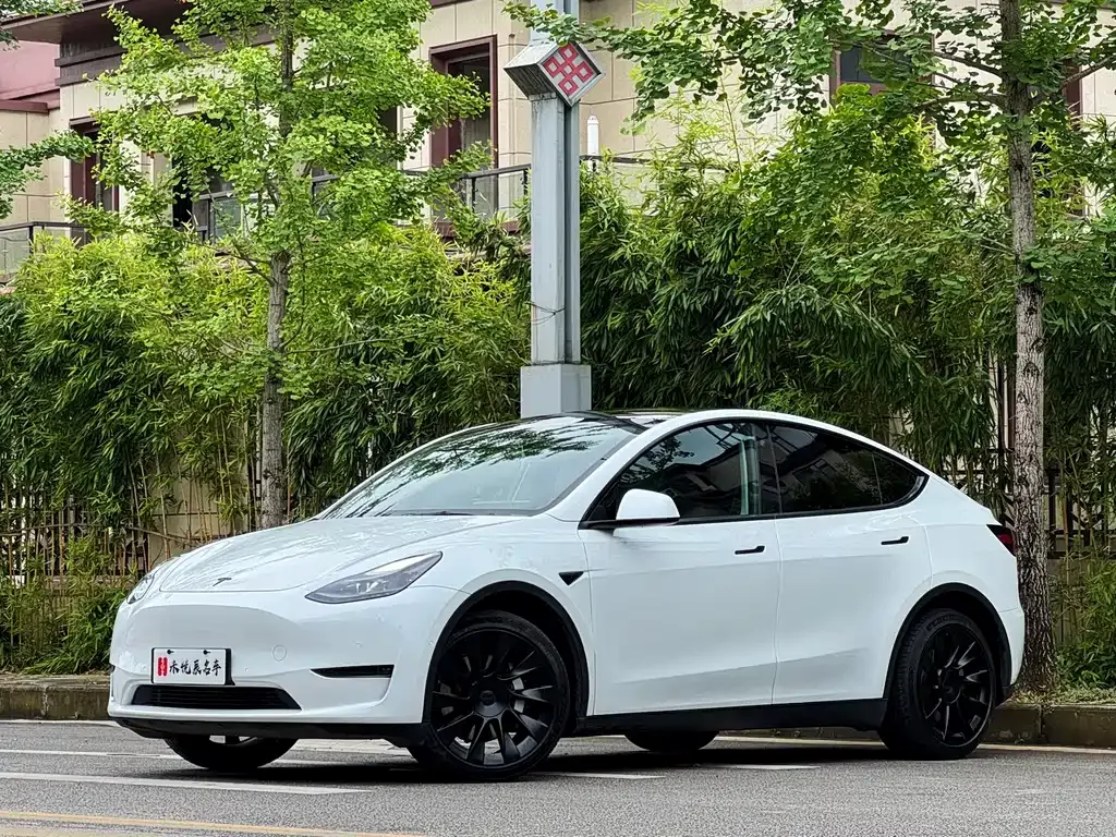 Tesla Model Y — фото 1