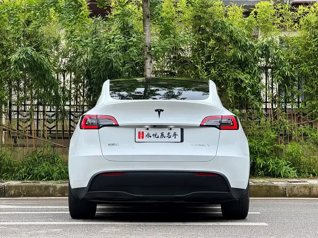 Tesla Model Y — фото 10