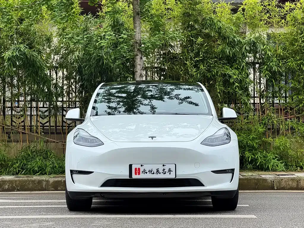 Tesla Model Y — фото 7