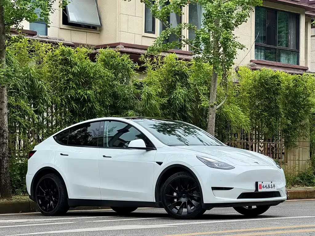 Tesla Model Y — фото 9