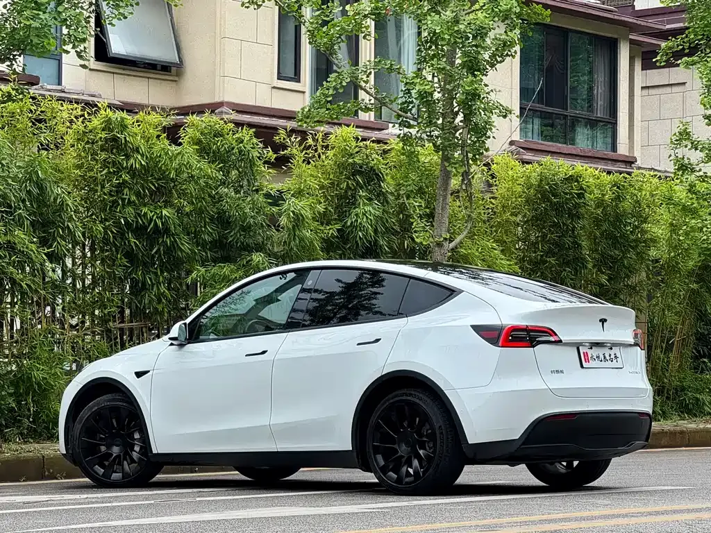 Tesla Model Y — фото 8