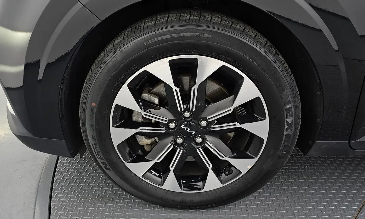 Kia Carnival — фото 10
