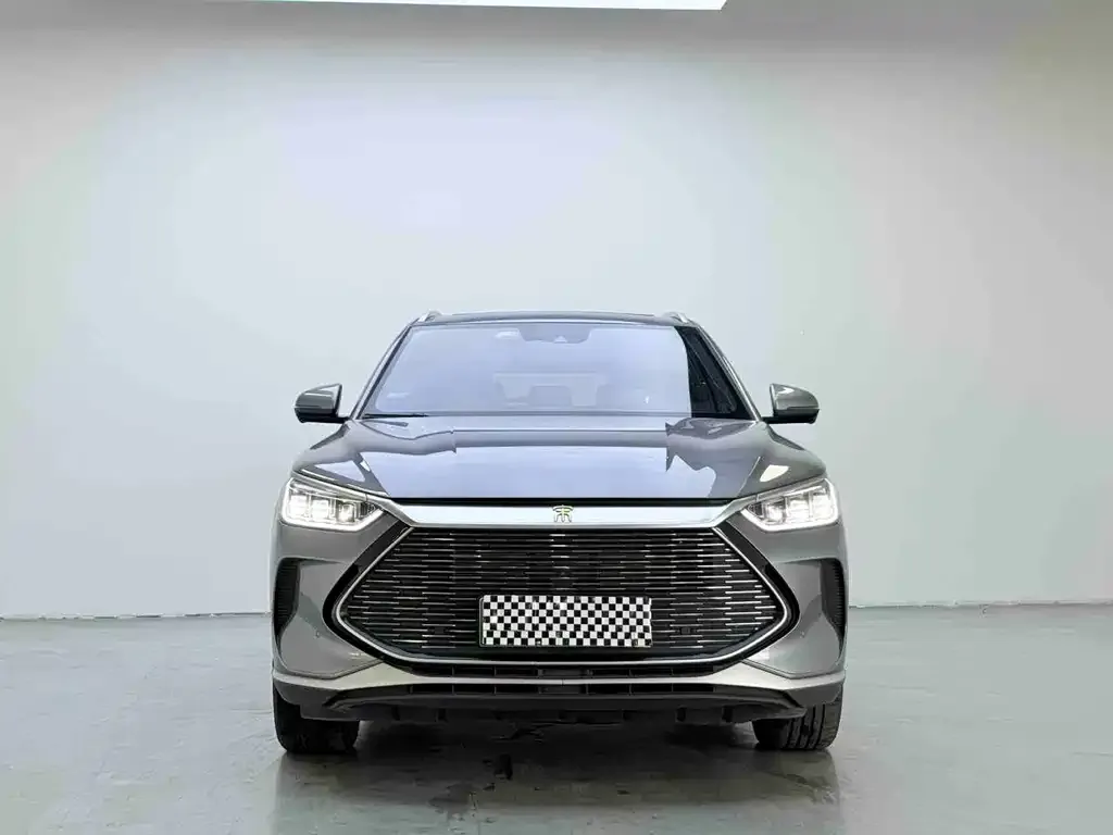 BYD PLUS New Energy — фото 4