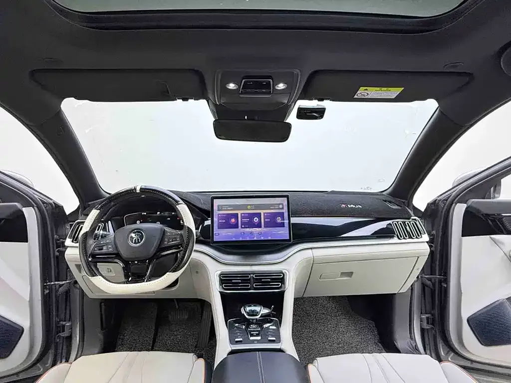 BYD PLUS New Energy — фото 10