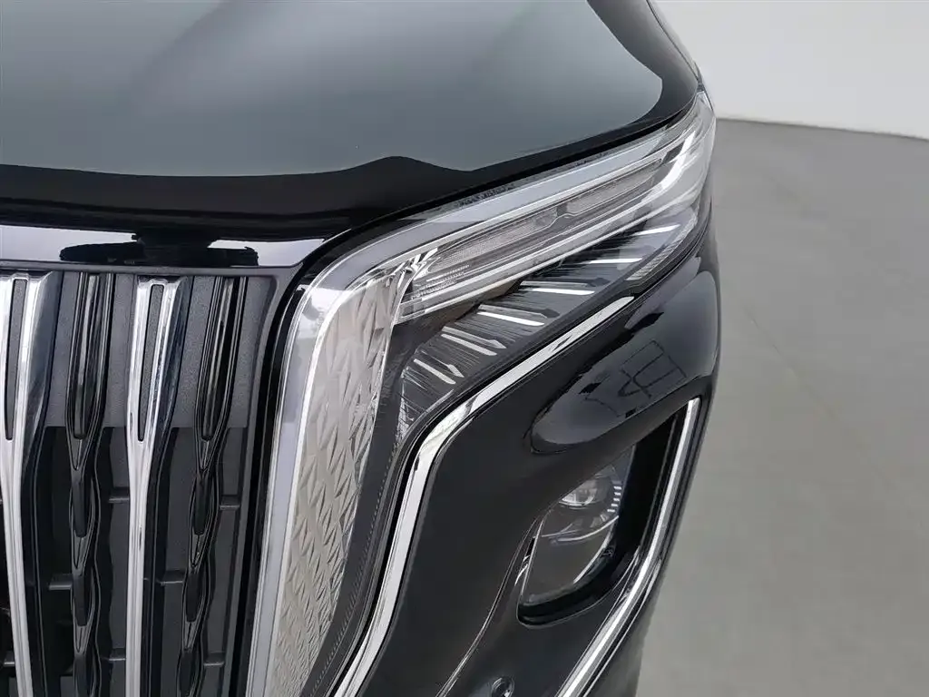 Hongqi HQ9 2023 из CN, фото 6