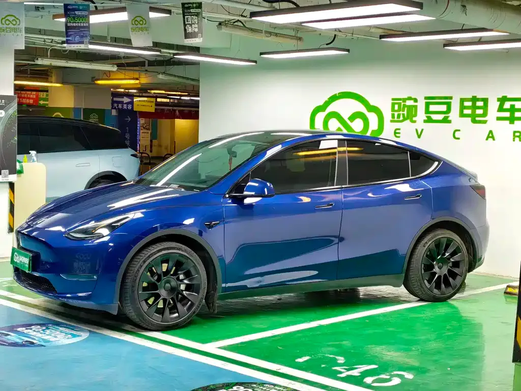 Tesla Model Y — фото 6