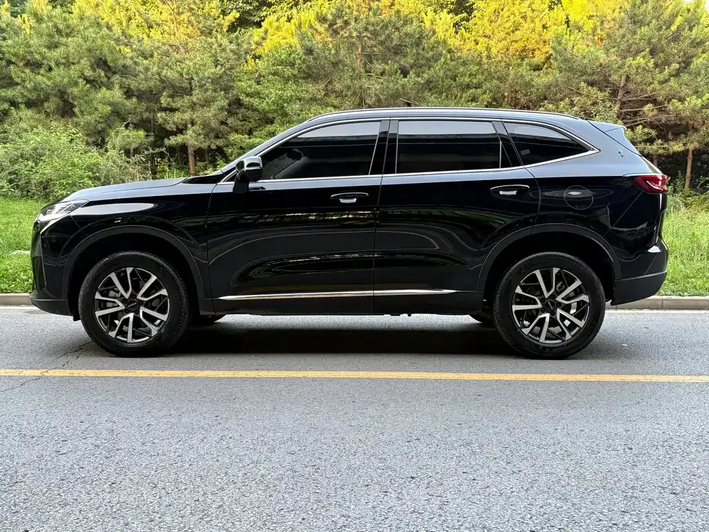 Haval H6 — фото 5