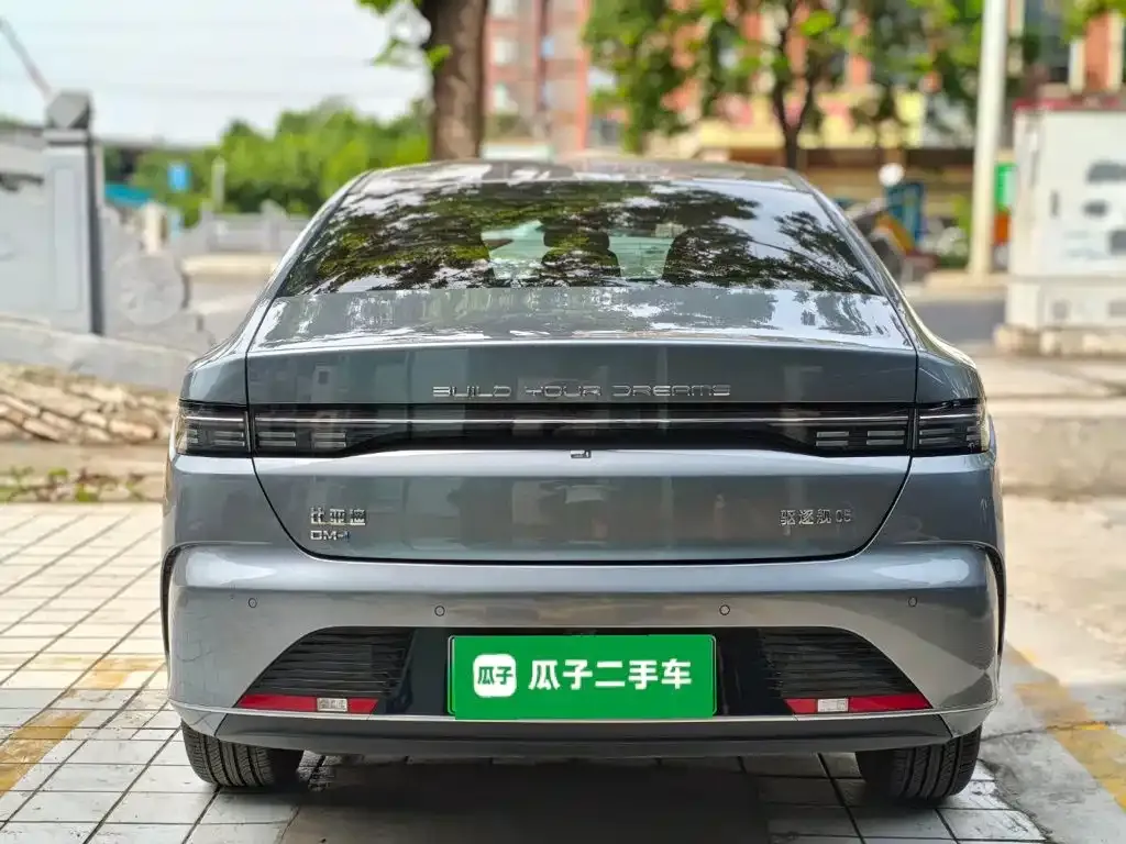 BYD Destroyer 05 2024 из CN, фото 5