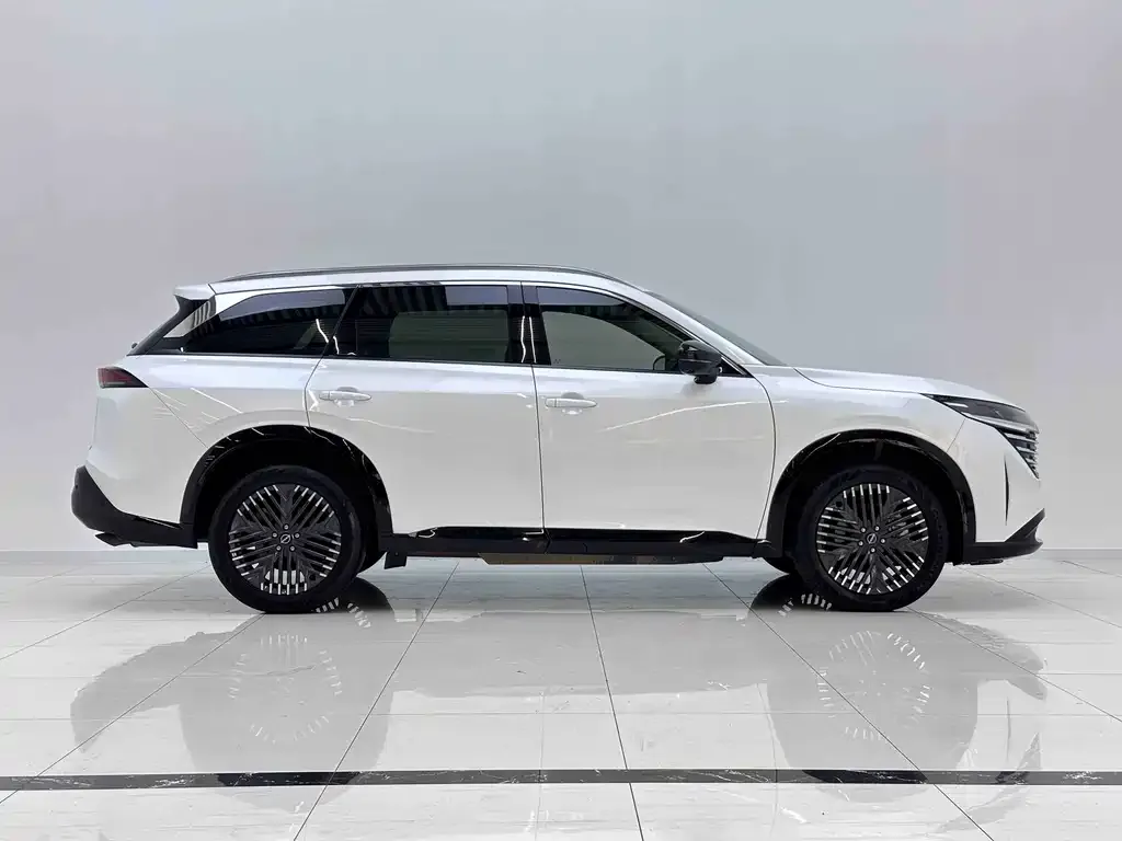Nissan Teramont 2024 из CN, фото 2