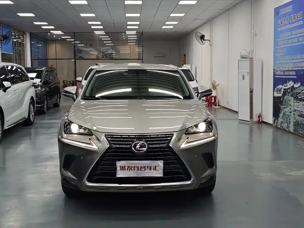 Lexus NX 2021 из CN, фото 10