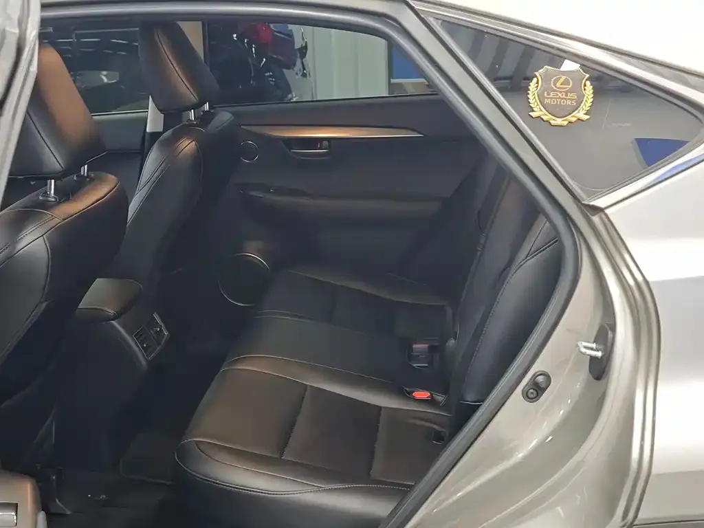 Lexus NX 2021 из CN, фото 3
