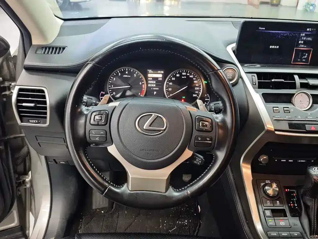 Lexus NX 2021 из CN, фото 5