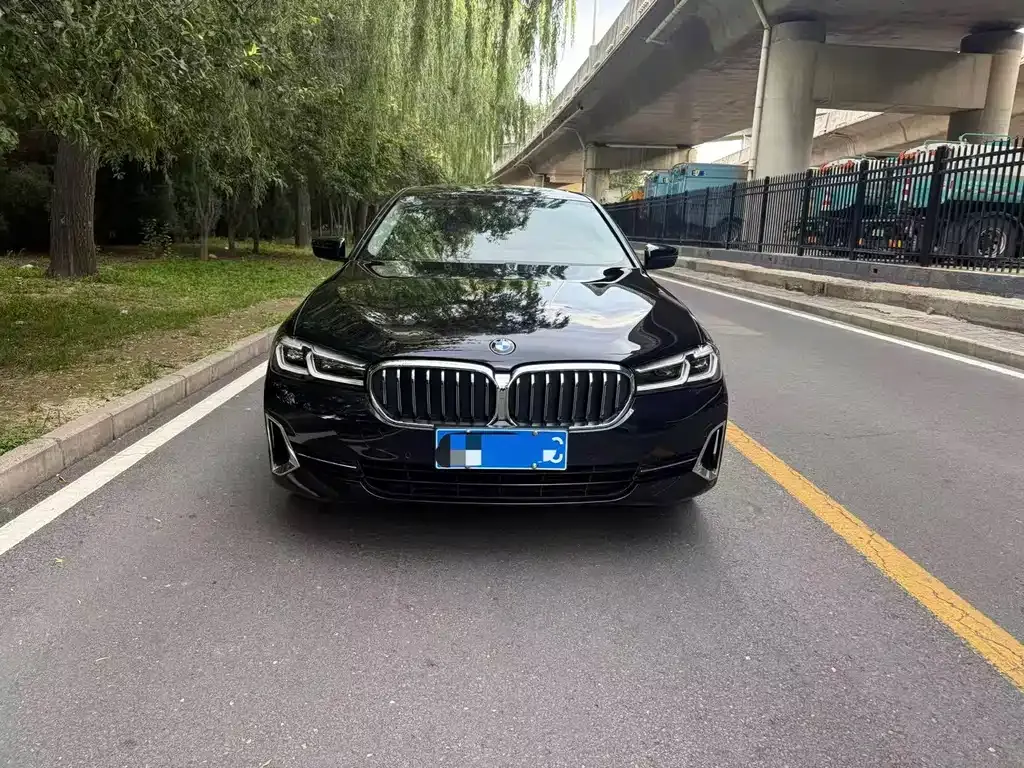 BMW 5 Series 2022 из CN, фото 10