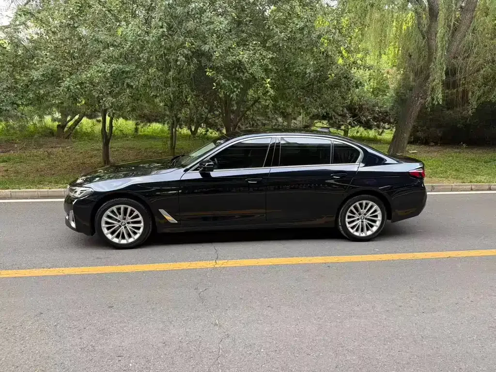 BMW 5 Series 2022 из CN, фото 7