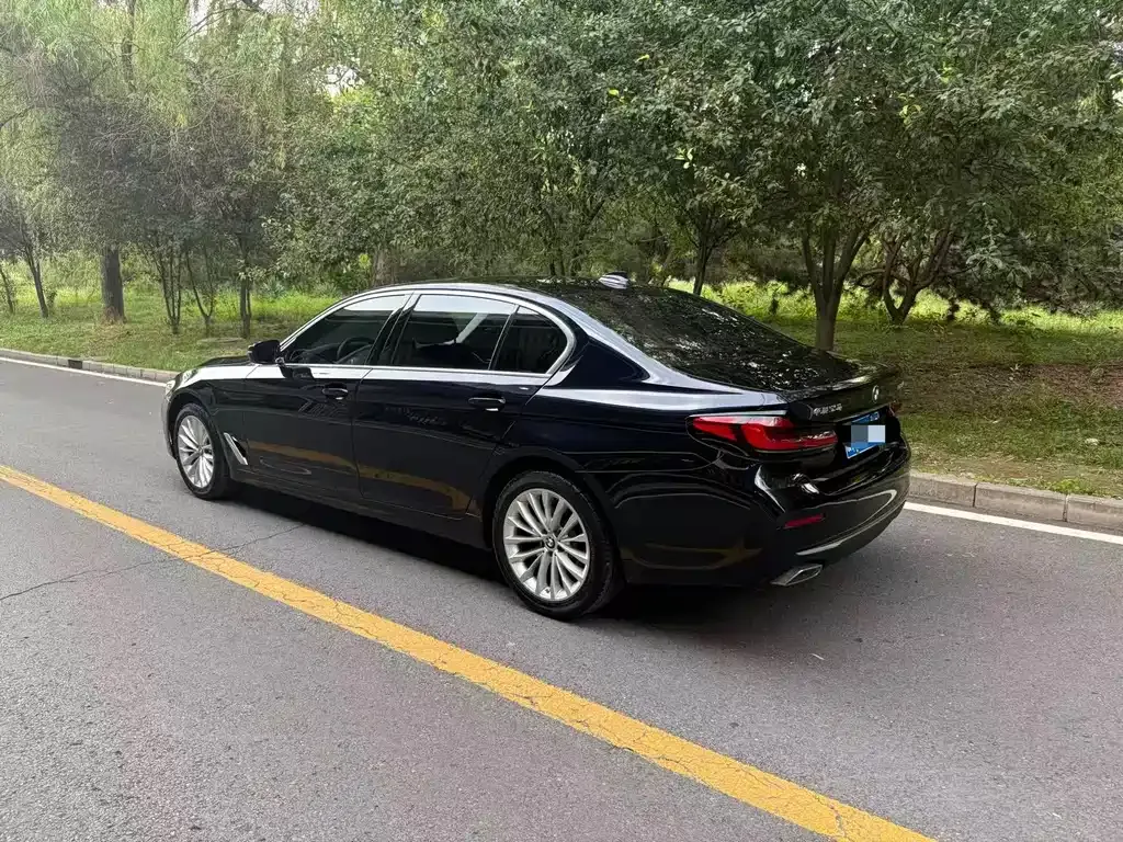 BMW 5 Series 2022 из CN, фото 3