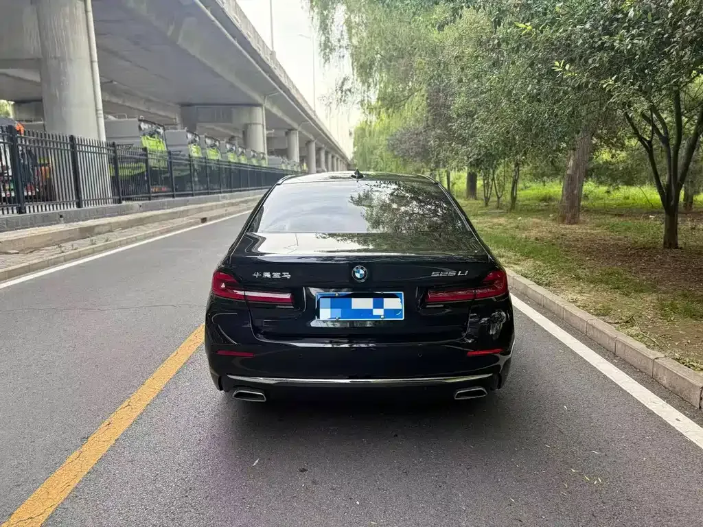 BMW 5 Series 2022 из CN, фото 8