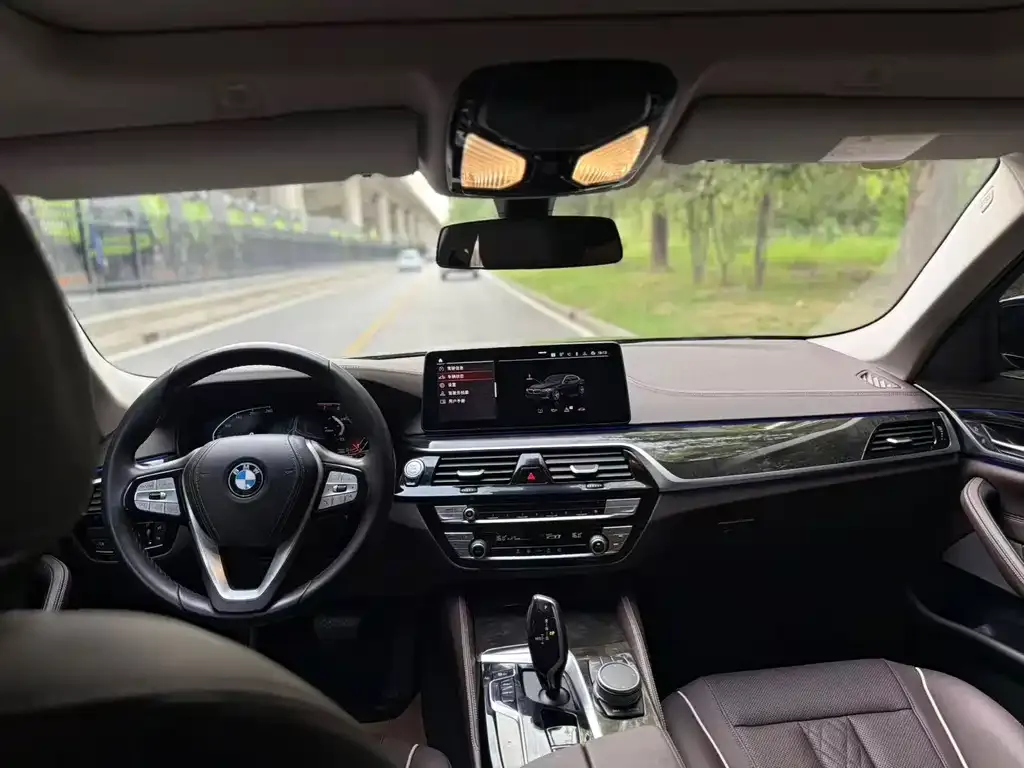 BMW 5 Series 2022 из CN, фото 5