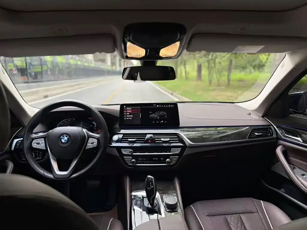 BMW 5 Series 2022 из CN, фото 4
