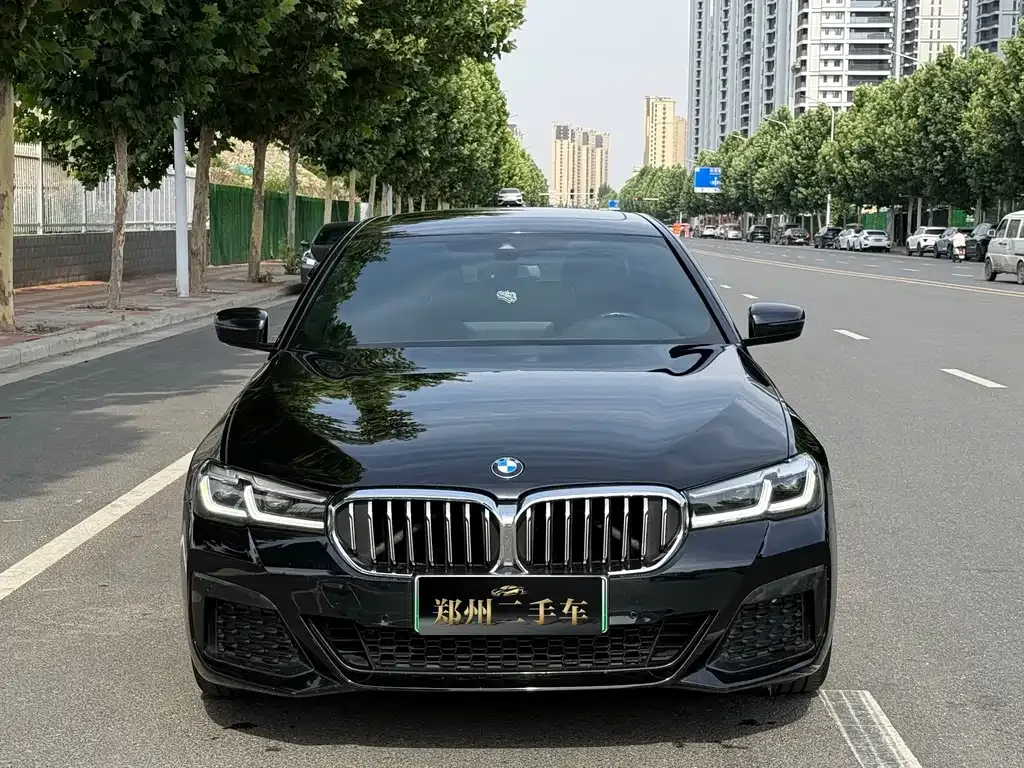 BMW 5 Series New Energy 2022 из CN, фото 9