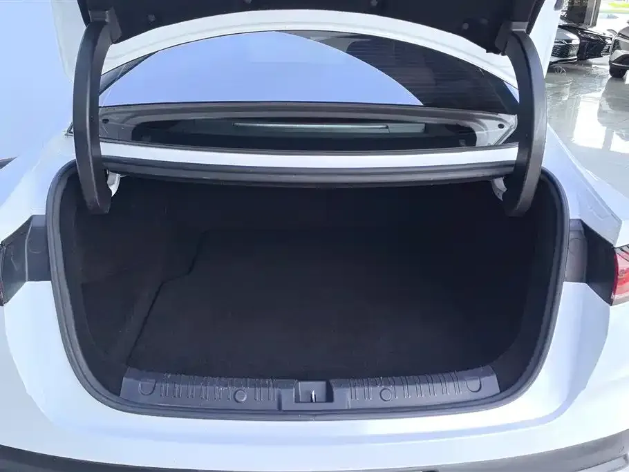 BYD Qin L 2024 из CN, фото 10