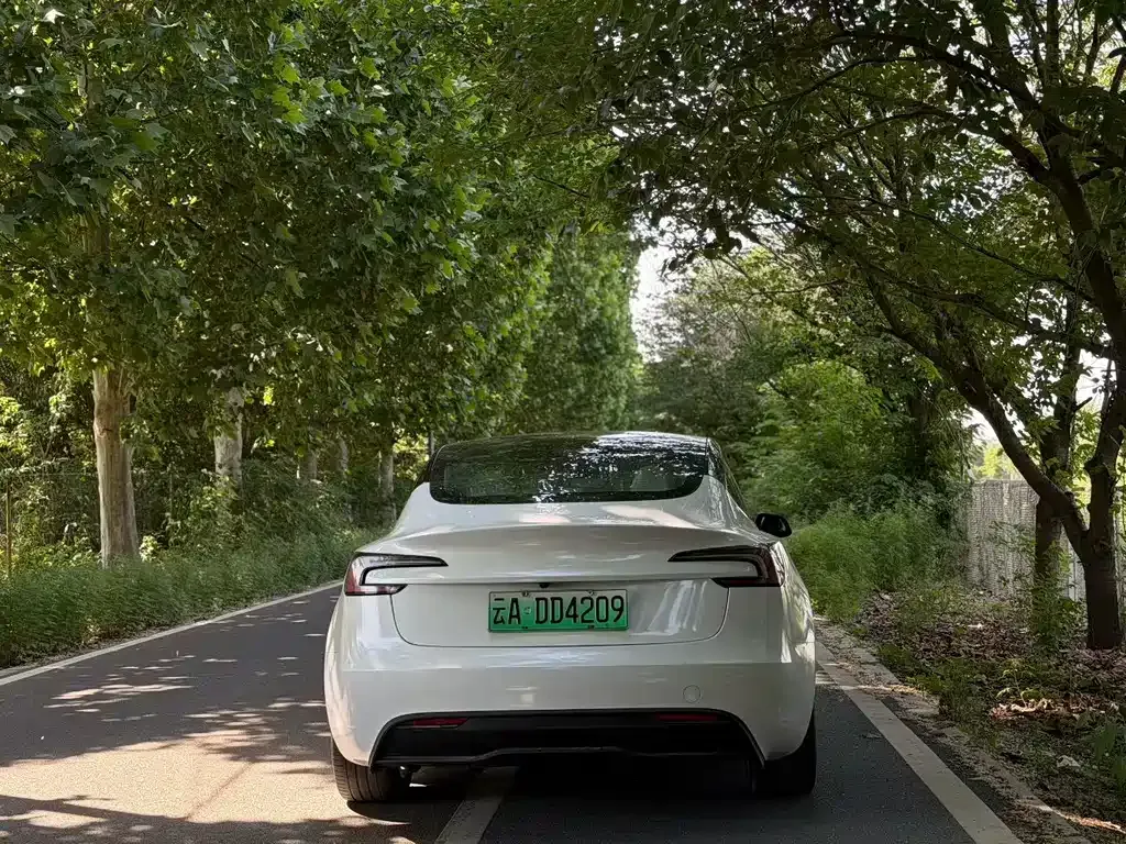 Tesla Model 3 — фото 2