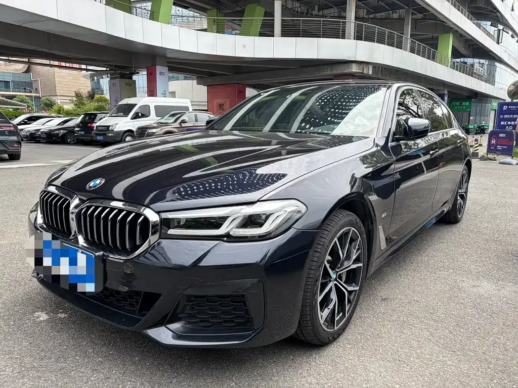 BMW 5 Series 2022 из CN, фото 8