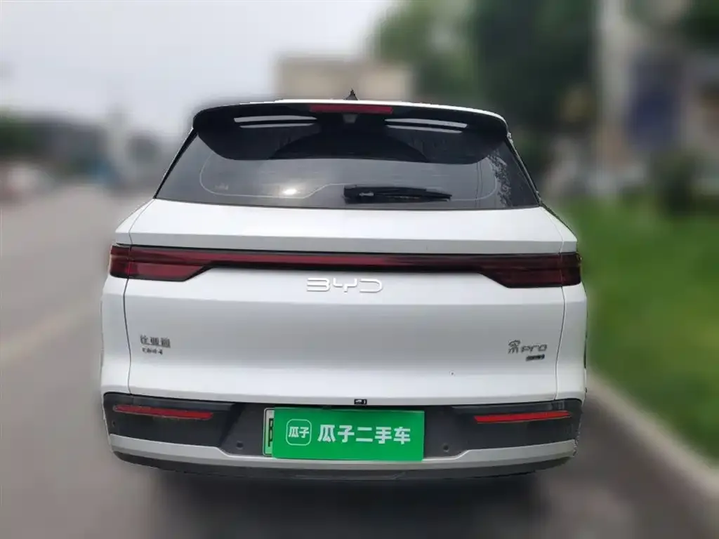 BYD Pro New Energy — фото 4