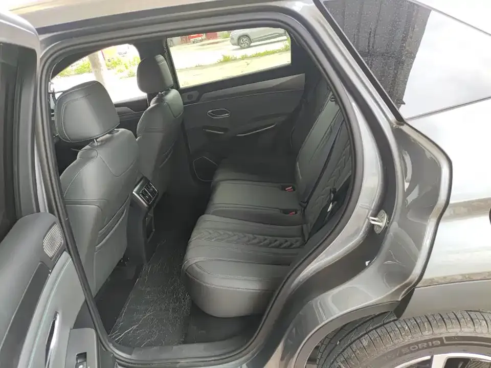 BYD L DM-i — фото 6