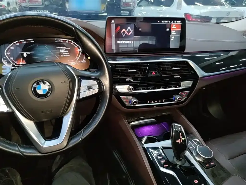 BMW 5 Series 2024 из CN, фото 4