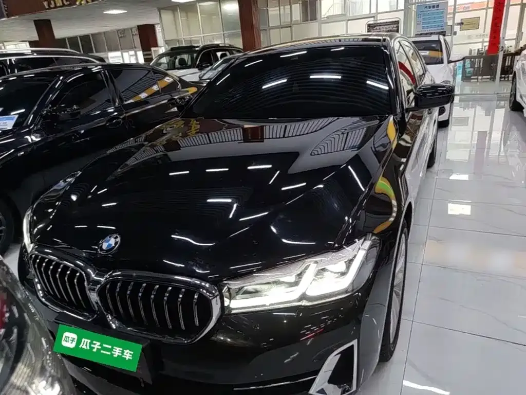 BMW 5 Series 2024 из CN, фото 5