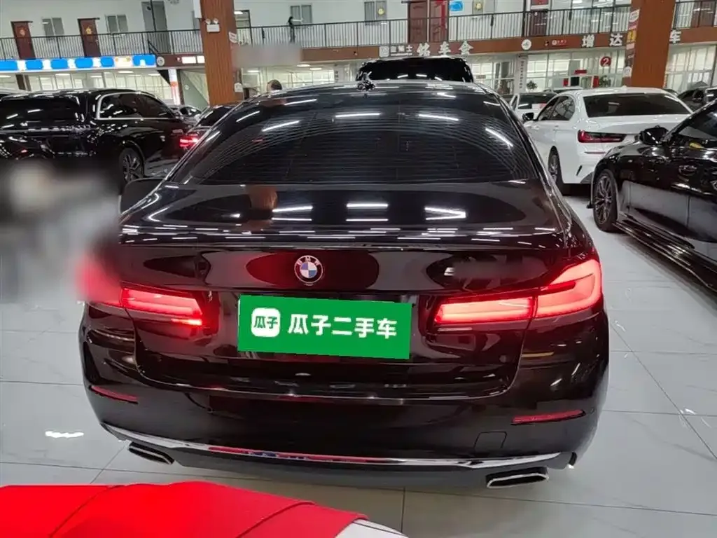 BMW 5 Series 2024 из CN, фото 9