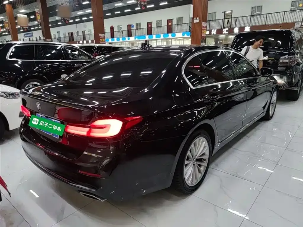 BMW 5 Series 2024 из CN, фото 7
