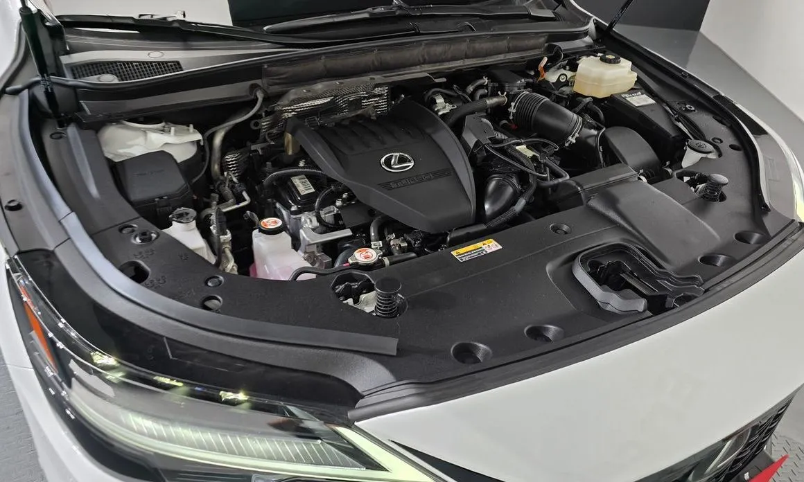 Lexus RX 2025 из KR, фото 8
