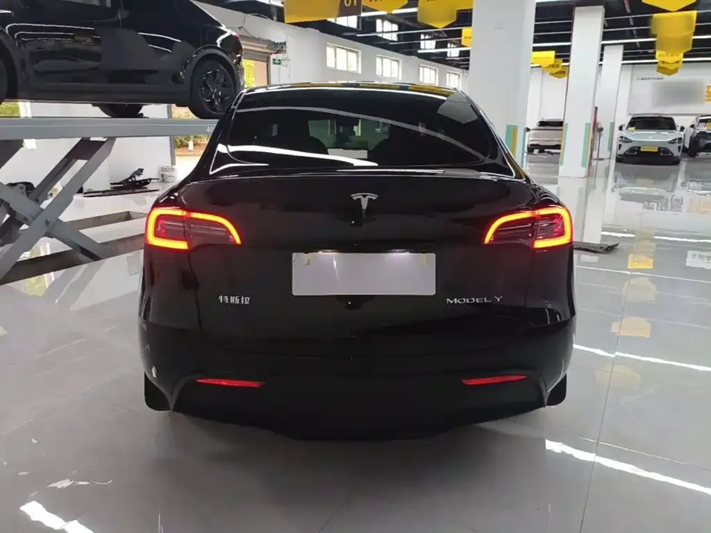 Tesla Model Y — фото 10