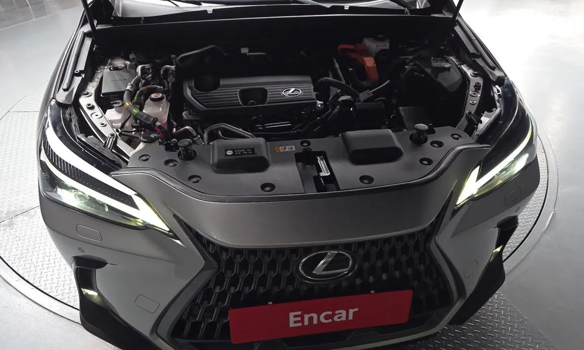 Lexus NX 2024 из KR, фото 9